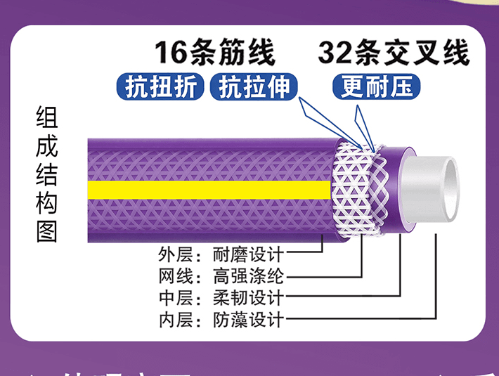紫金龙结构图1